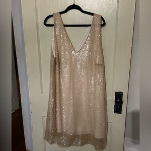 Sparkling Sequin Dress